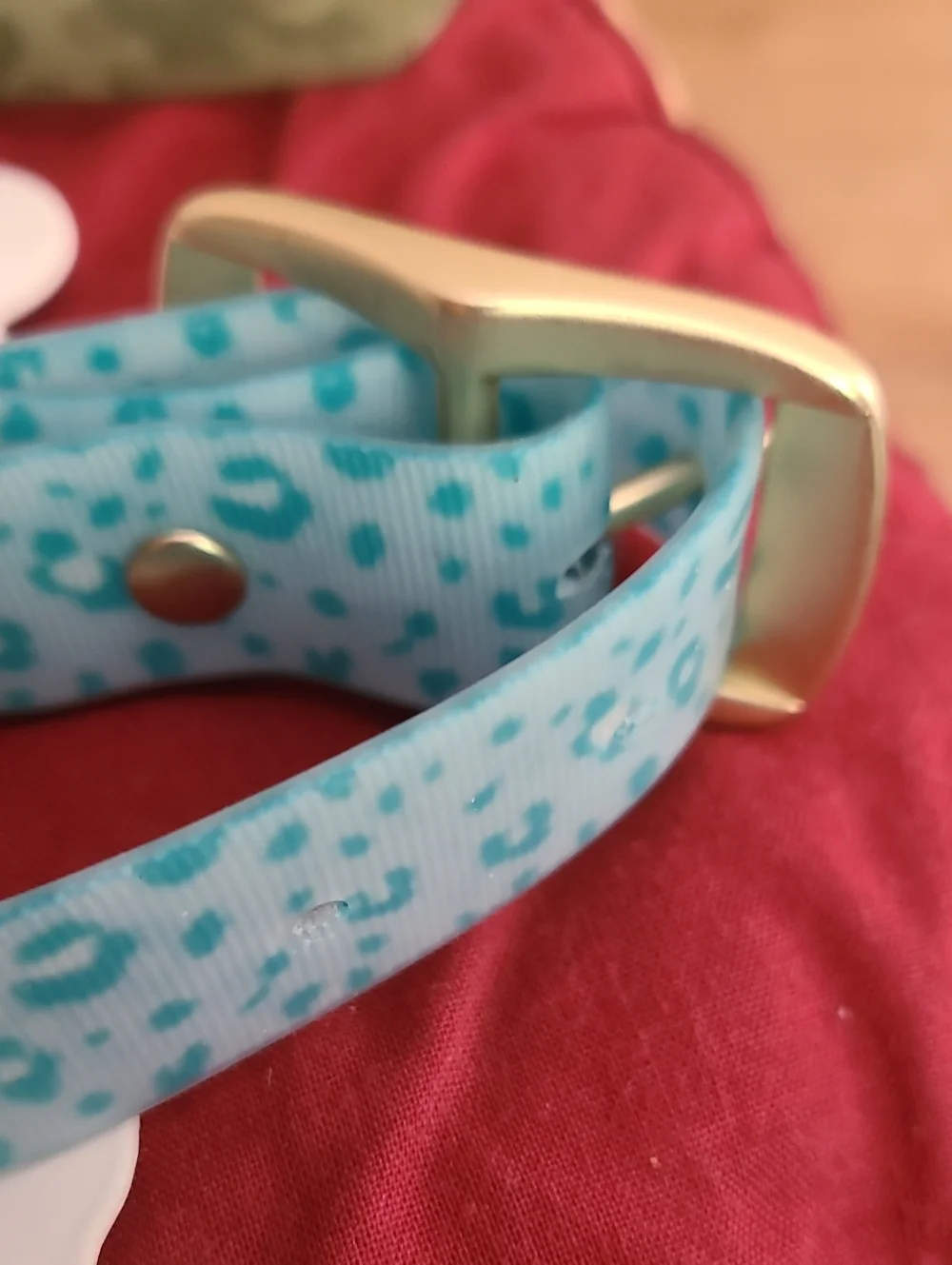 Pet Collars - Adjustable Small